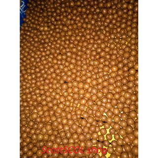 Macca nứt vỏ hút chân không 500gram