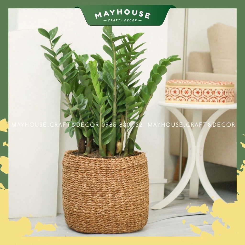 Giỏ Sọt Cói Trồng Cây, Giỏ Mây Tre, XƯỞNG MAYHOUSE, Giá Rẻ, Sỉ Giá Tốt, Nâu Trơn Chữ Nhật Đứng Không Quai
