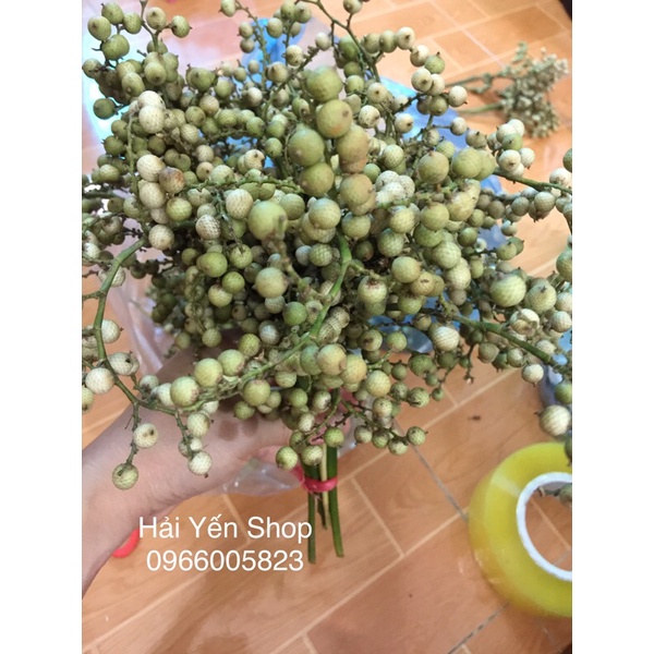 Quả mây rừng trang trí,làm thuốc