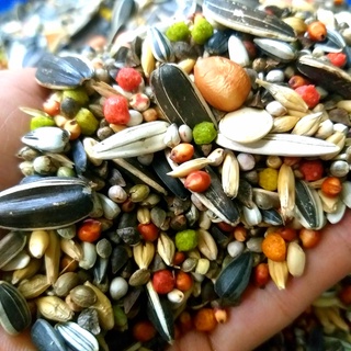 HẠT TRỘN CHO VẸT SUN, XÍCH, XÁM CHÂU PHI...gói 1kg