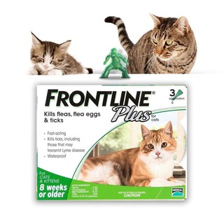 Nhỏ gáy cho mèo trị ve rận Frontline Plus diệt bọ chét nấm viêm da