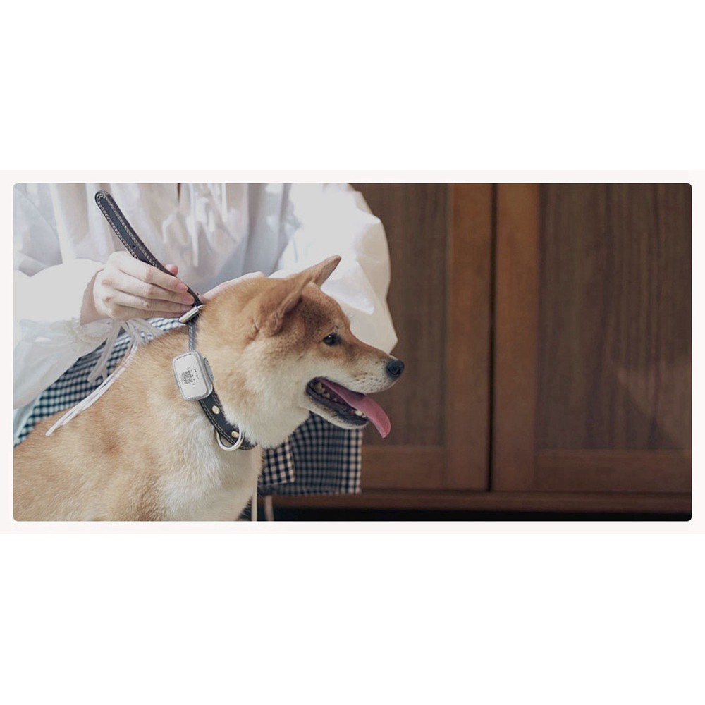 Máy định vị xe cộ, thú cưng (Chó/mèo) XIAOMI Xiaomi Accompanying pet dog locator