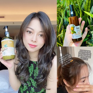 Ủ tóc Sinh Khương kích thích mọc tóc chuyên phục hồi các loại tóc hư tổn do hóa chất uốn nhuộm duỗi