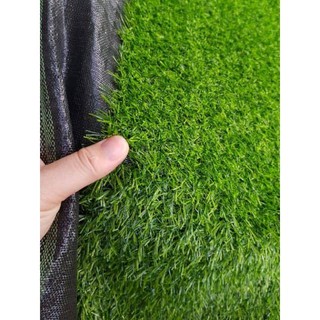 Thảm cỏ nhân tạo m2
