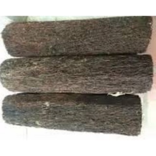 Dớn trụ trồng lan