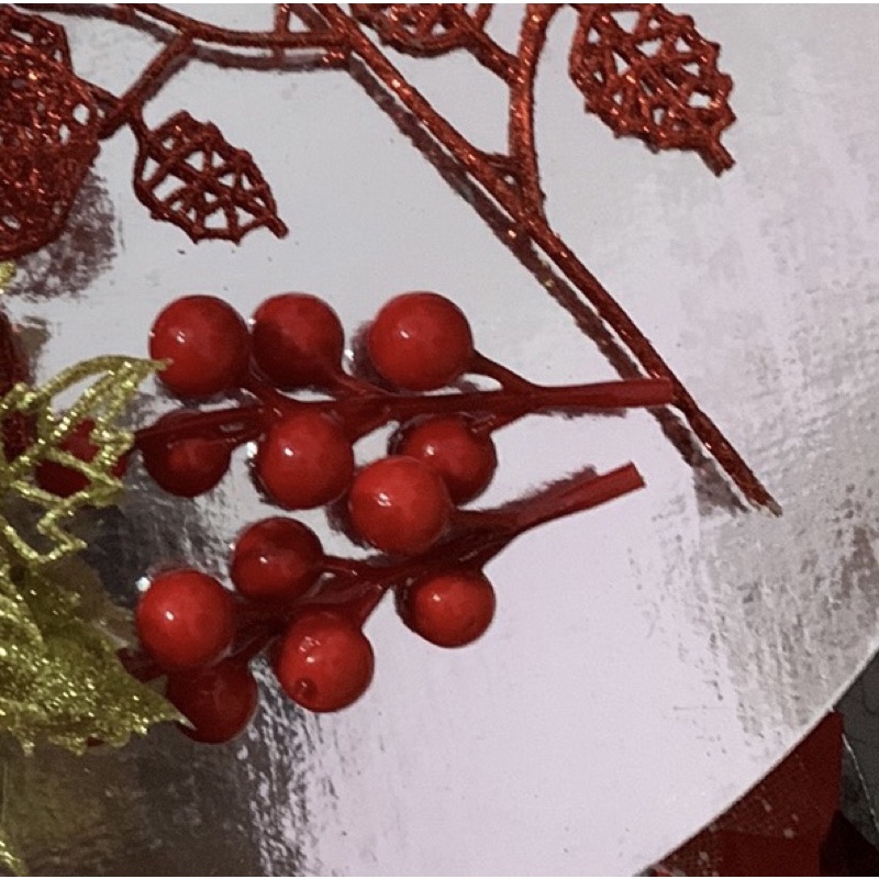 cành quả cherry đỏ