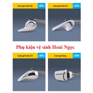 Tay gạt - 1 nút nhấn bồn cầu HÙNG ANH