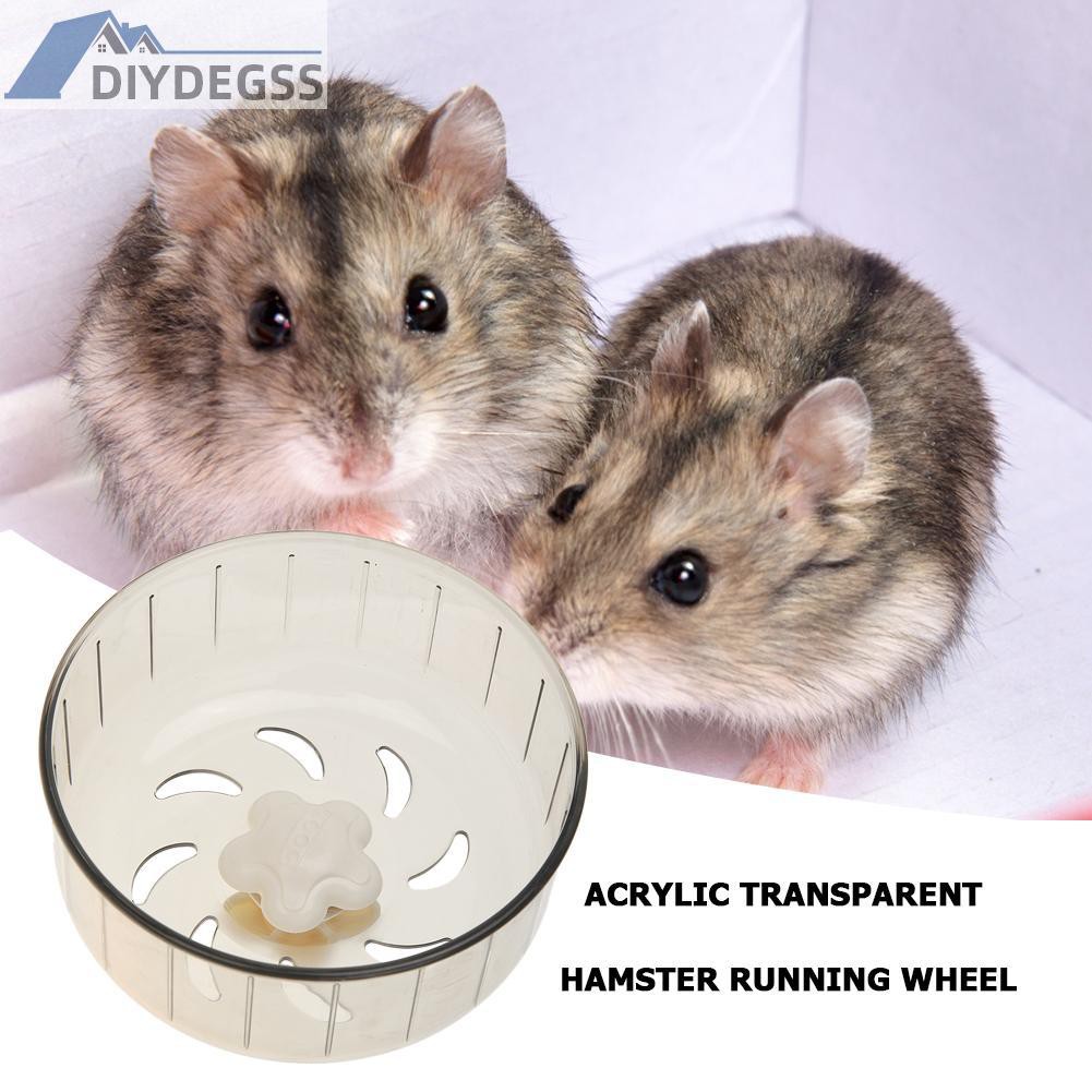 Bánh Xe Trong Suốt Cho Chuột Hamster 12.2