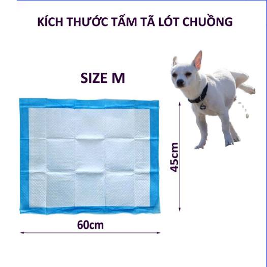 Combo 10 miếng tả lót chuồng cho thú cưng chó, mèo⚡CHỈ 1 NGÀY⚡ lót than hoạt tính - lót thường xanh - PET&amp;JOI