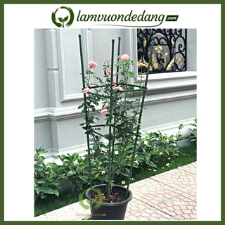 Combo 2 Khung tứ giác 1m2 - Khung trồng cây, Giá Đỡ Hoa Hồng Leo, dây leo