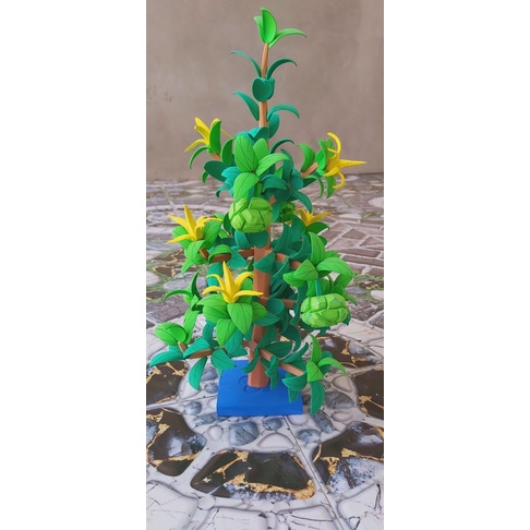 Cây ăn quả mầm non