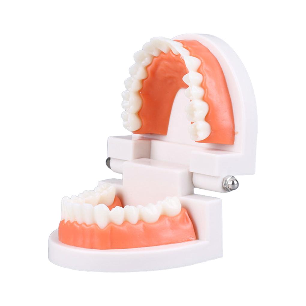 Đồ Chơi Bàn Chải Đánh Răng Hỗ Trợ Dạy Học Cho Bé