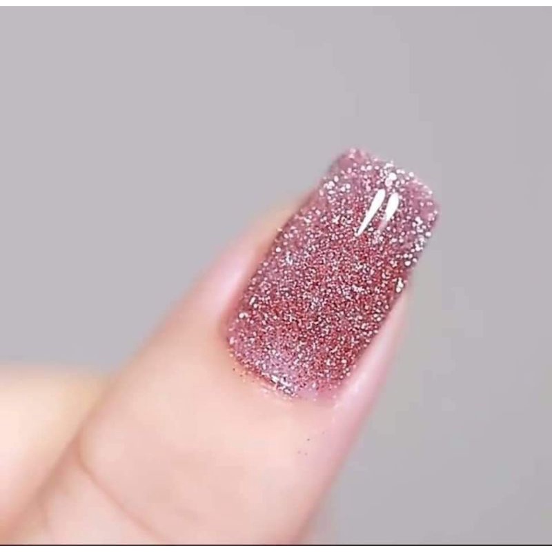 Sét sơn nhũ flash vendeeni