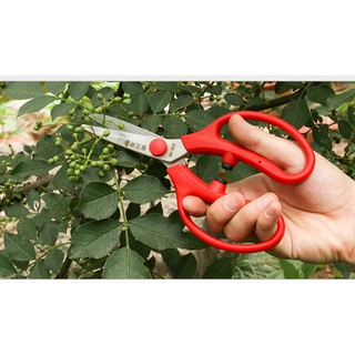 KÉO CẮT TỈA HOA QUẢ SAGAWA 933