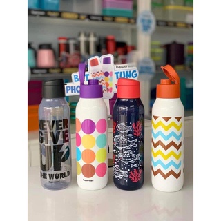 Bình Nước Eco Bottle Fancy 750ml