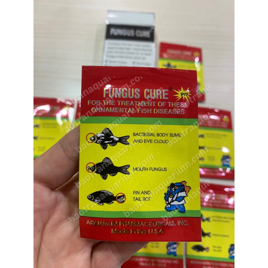 Thuốc trị nấm Fungus Cure cho cá cảnh