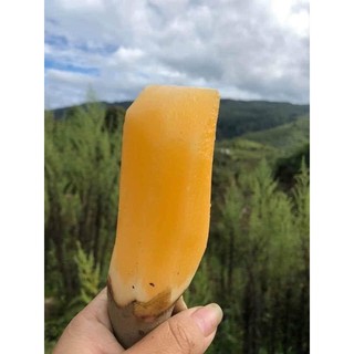 Combo 5kg Sâm đất Y TÝ Lào Cai
