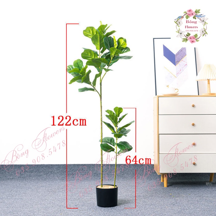 Cây bàng giả - Cây bàng Singapore cao 120cm 3 nhánh - CHƯA CHẬU