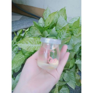 Hũ dầu dừa dưỡng da ,chống nứt nẻ tay chân ,rạn da