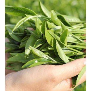 (FREESHIP)Sữa Rửa Mặt 3W Trà Xanh 100ml