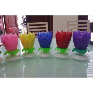 Combo sỉ nến sinh nhật