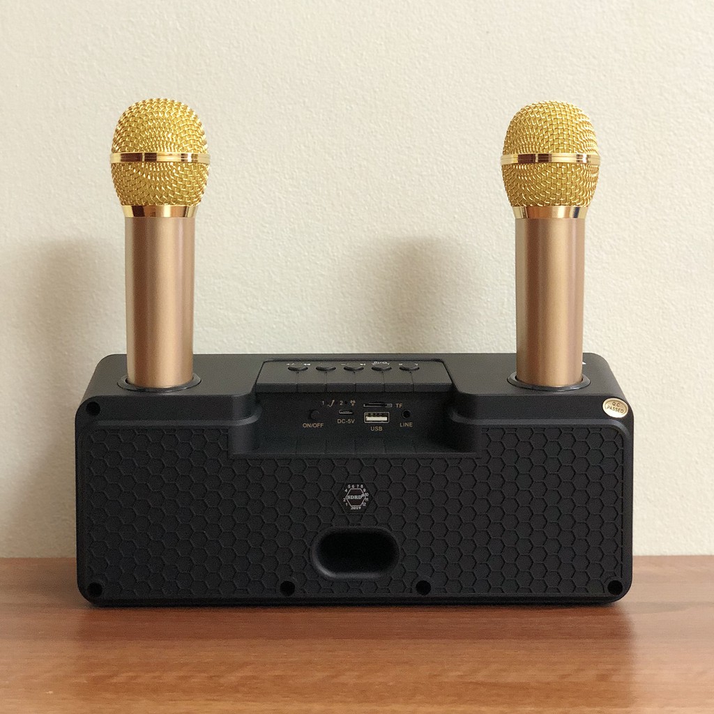 Loa Bluetooth Karaoke SDRD SD-301