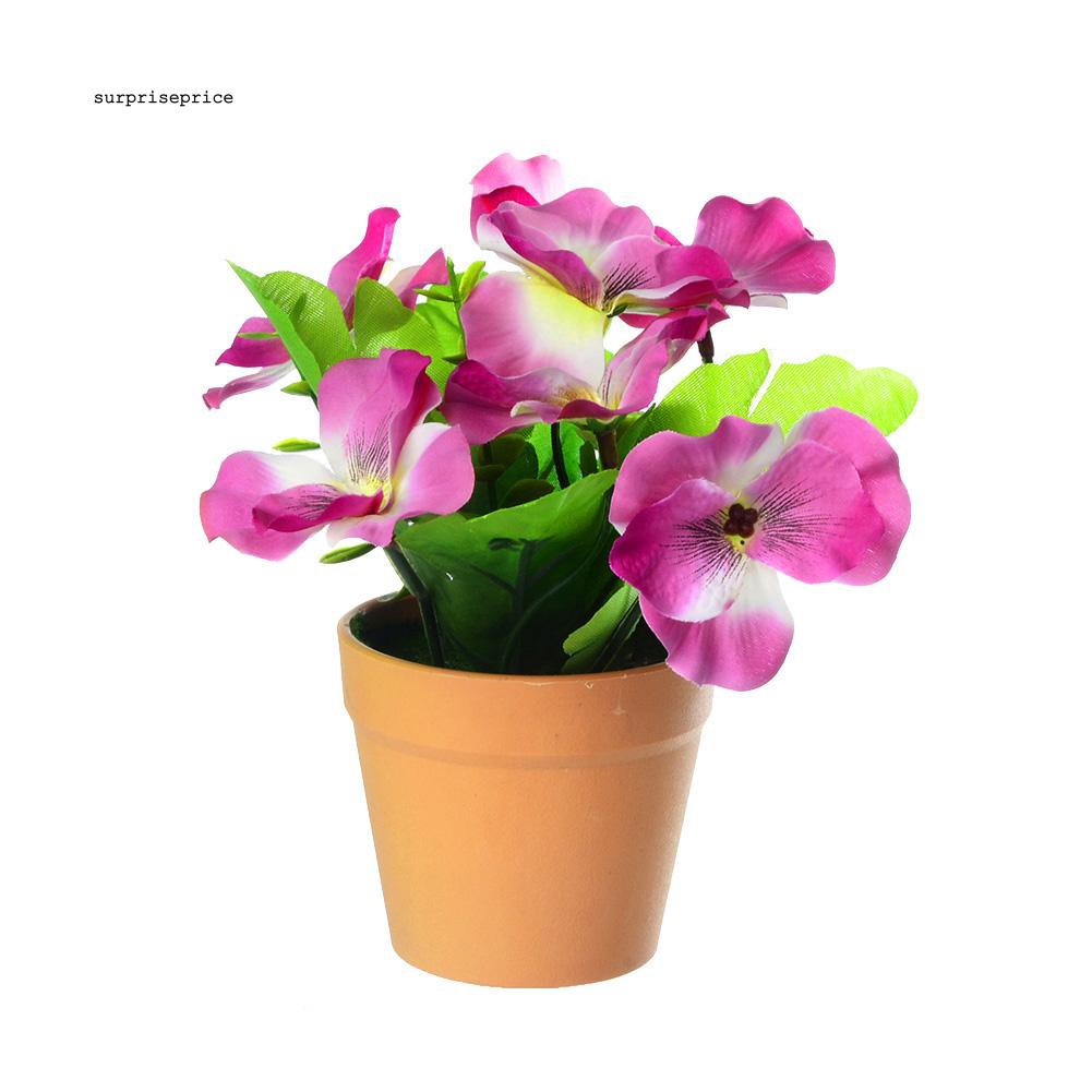 Set chậu + cây bonsai giả không phai màu trang trí đa năng