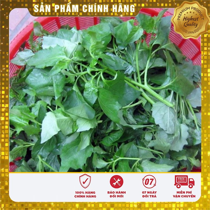 Hạt giống rau tầm bóp 0.5gr
