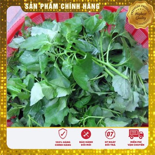 Hạt giống rau tầm bóp 0.5gr