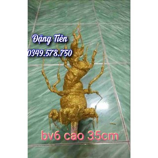 Gốc cây giả BV6 - Gốc Bonsai kim tuyến (15 nhánh)