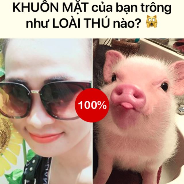 Combo khách đặt trên live