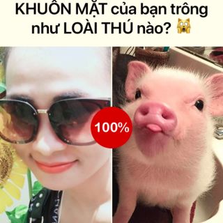Combo khách đặt trên live