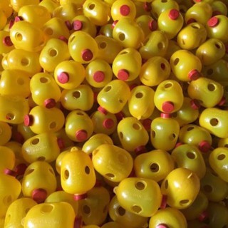 [FREESHIP_99K] Combo lồng bẫy ruồi vàng cho khách 40 chiếc