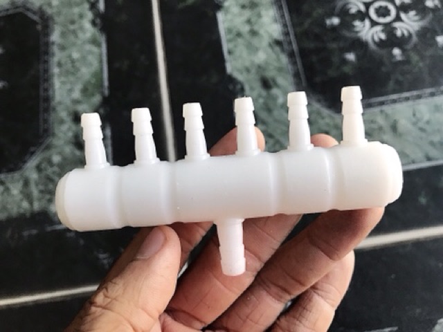 THANH CHIA 6 ĐẦU OXY HỒ CÁ NON BỘ