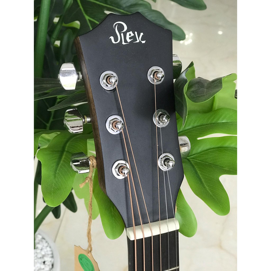 Guitar Acoustic Rex RD12C-FG - Gỗ Vân Sam Nguyên Tấm, Nhập Khẩu Singapore - Sol.G Nhạc cụ nhập khẩu chính hãng