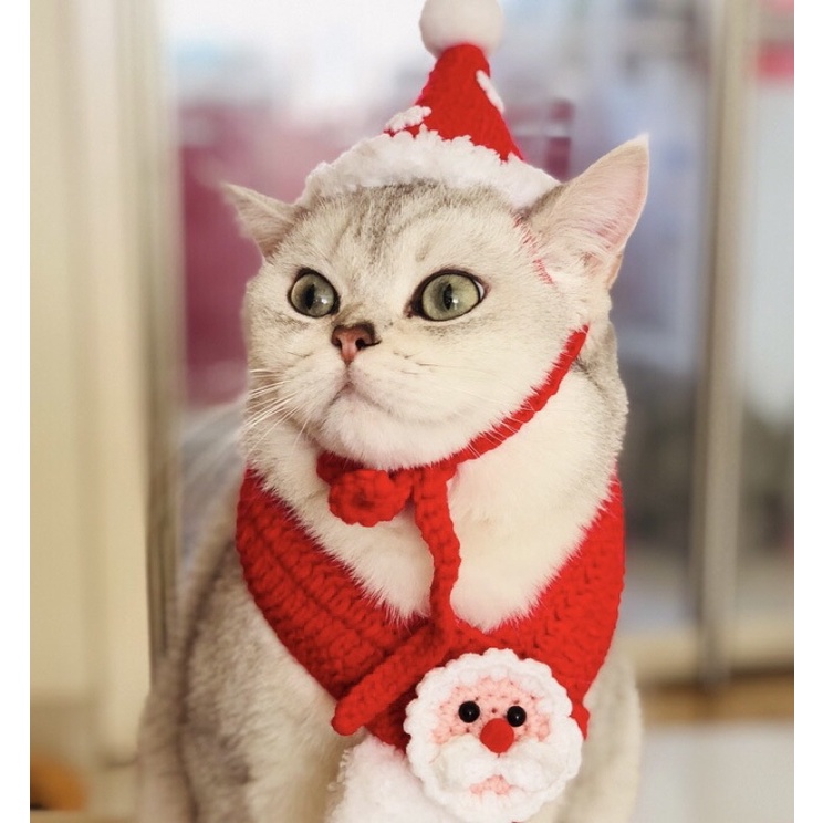 Set mũ yếm Giáng sinh cho Boss