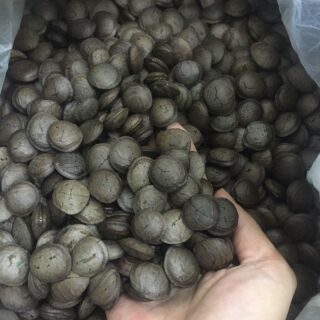 Hạt sachi rang chín ăn liền 500g