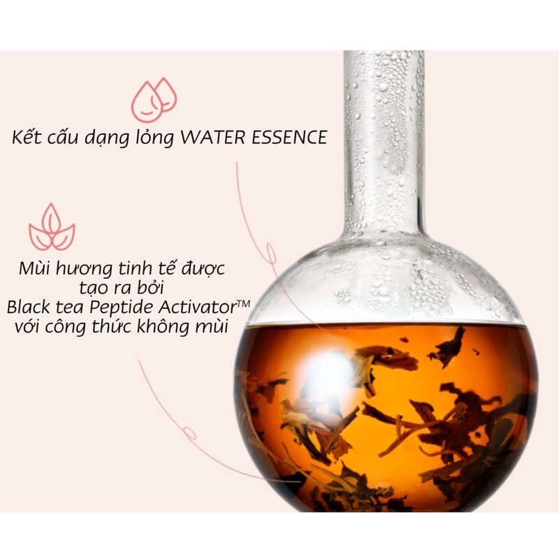 Tinh Chất Chống Lão Hóa, Dưỡng Sáng, Phục Hồi Da Chuyên Sâu Innisfree Black Tea Youth Treatment Esence