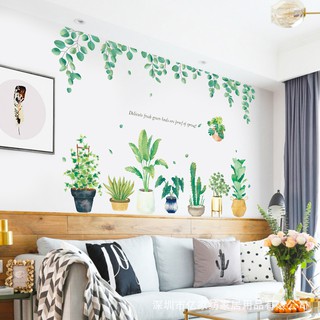 Decal dán tường trang trí tán lá, chậu cây xinh xắn
