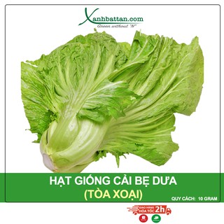 Hạt Giống Cải Bẹ Dưa Tòa Xoại Phú Nông Gói 10 Gram