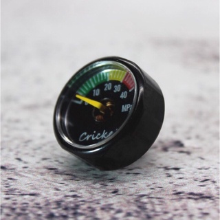 Đồng hồ áp suất 40MPa