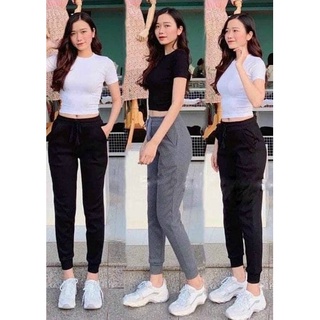 Hd12 - quần jogger len tăm dày dặn hàng loại 1