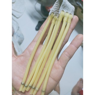 Thun ống SLINGSHOT