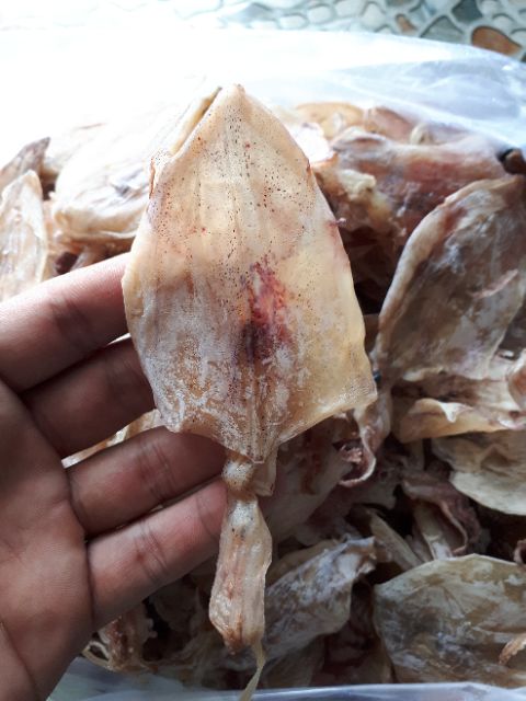 [SIÊU HOT] 1 con Mực khô mini Cà Mau ngon | BigBuy360 - bigbuy360.vn