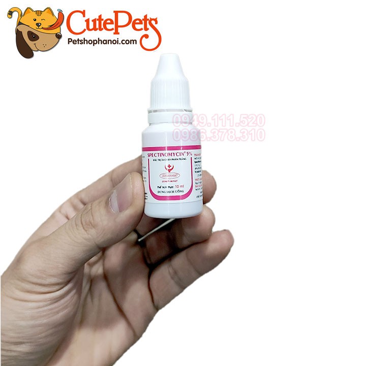 Đặc trị tiêu chảy Spectinomycin 5% 10ml dạng siro ngọt - Petshop Hà Nội