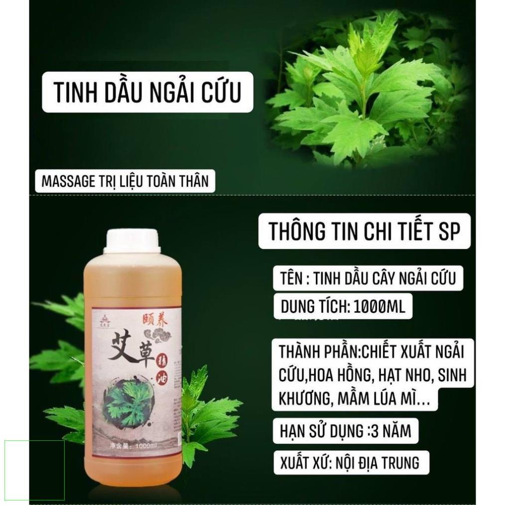 Dầu Massage body Ngải Cứu và Dầu Gừng Giảm béo, thông kinh hoạt lạc 1 lít