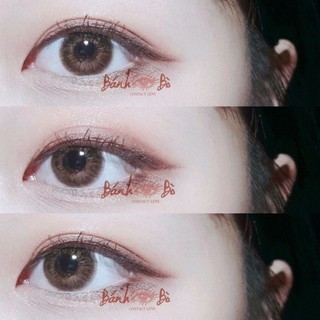 Kính áp tròng thái lan- lens thái mầu look fresh air/littlre cilton brown nâu trầm