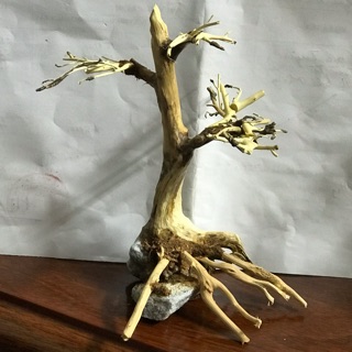 Lũa bonsai thuỷ sinh 15x10