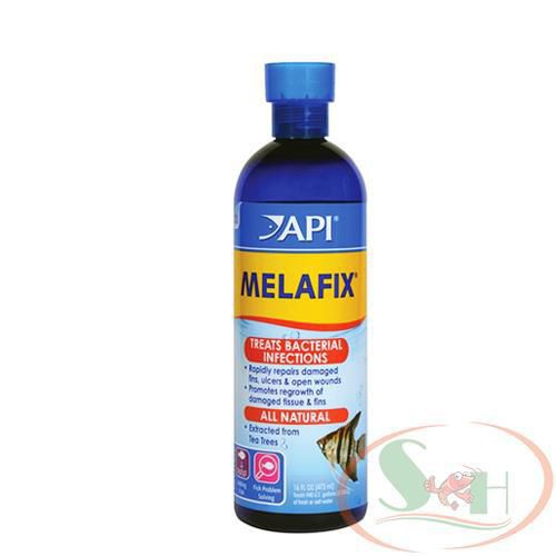 Dung Dịch Sát Khuẩn API Melafix Diệt Khuẩn Cho Cá Tép - Chai 473 ml