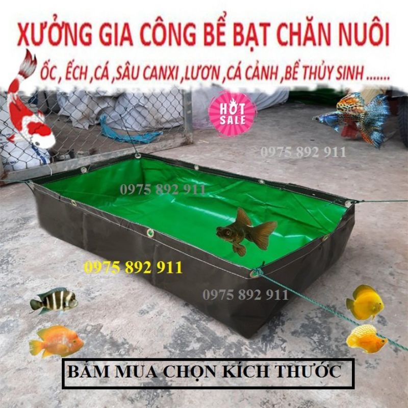 Hồ cá , bể bạt ươm nuôi dưỡng cá cảnh